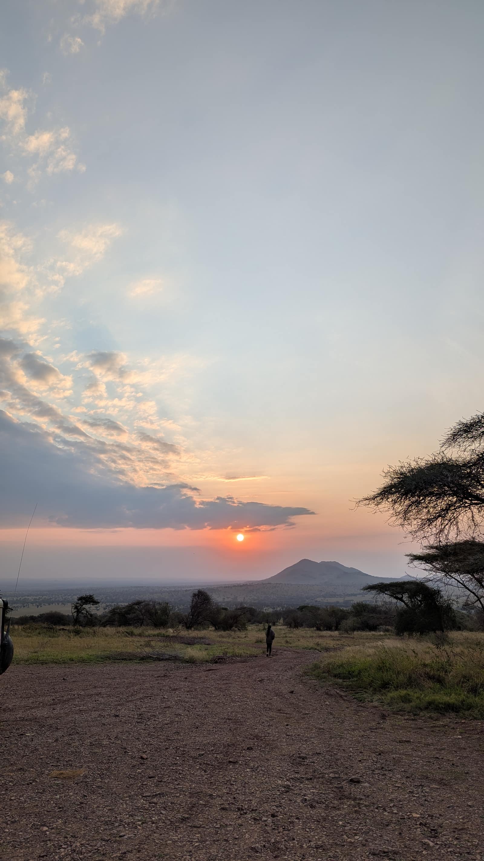A guide walking toward a Serengeti sunset behind a distant kopje